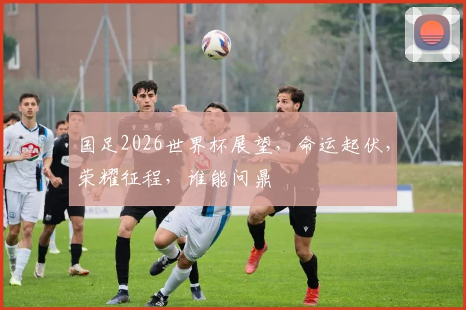 国足2026世界杯展望，命运起伏，荣耀征程，谁能问鼎