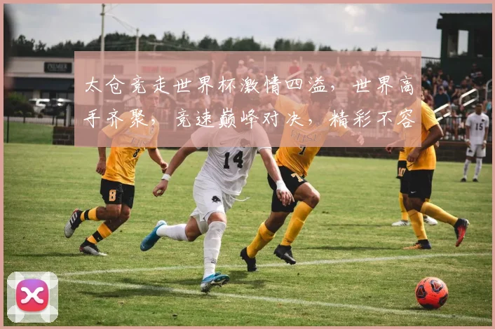 太仓竞走世界杯激情四溢，世界高手齐聚，竞速巅峰对决，精彩不容错过