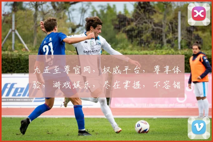九五至尊官网，权威平台，尊享体验，游戏娱乐，尽在掌握，不容错过，速来体验