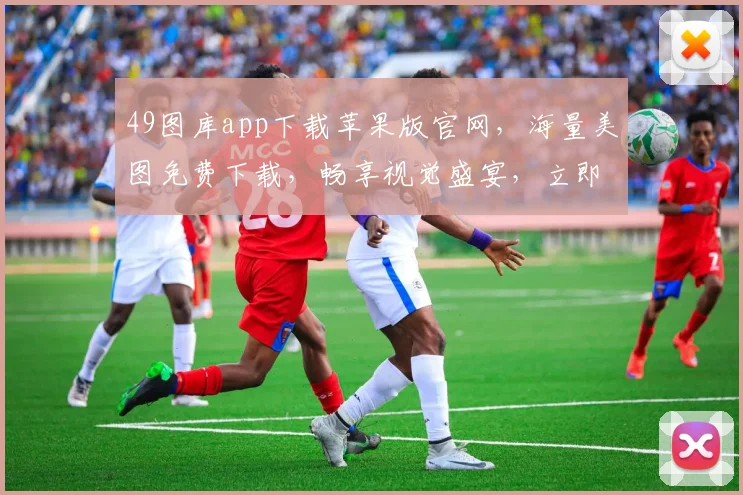 49图库app下载苹果版官网，海量美图免费下载，畅享视觉盛宴，立即体验